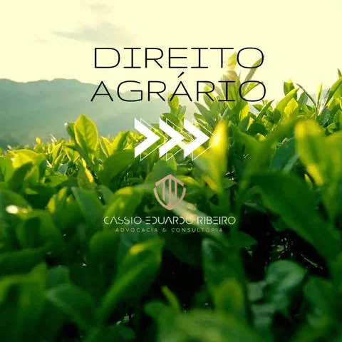 Imagem de capa relacionada ao artigo: Saiba a finalidade do direito agrário e quais as principais demandas que o profissional desse ramo do direito ajuda solucionar.